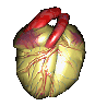 corazon