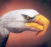 aguila.jpg