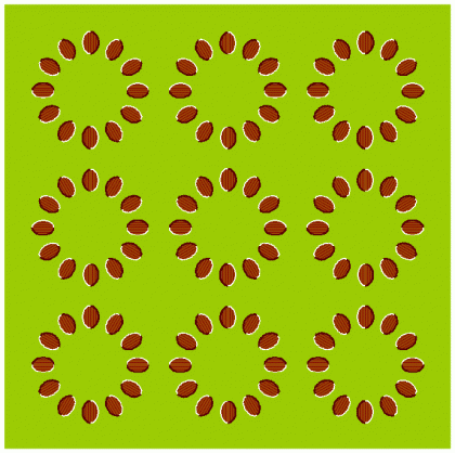 Ilusion optica
